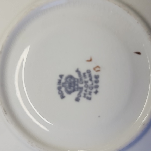 Rosina Bone China Vintage Teacup and Saucer - Picture 4 of 7